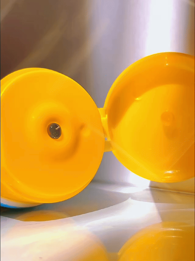 Curl Perfection Duo